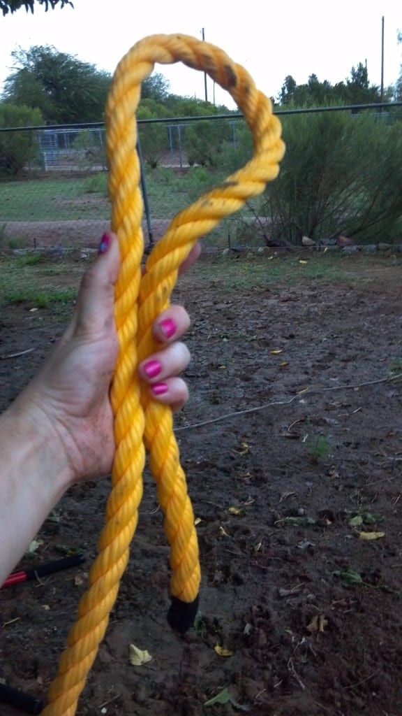 How to Build a One Rope Tree Swing TeeDiddlyDeeTeeDiddlyDee
