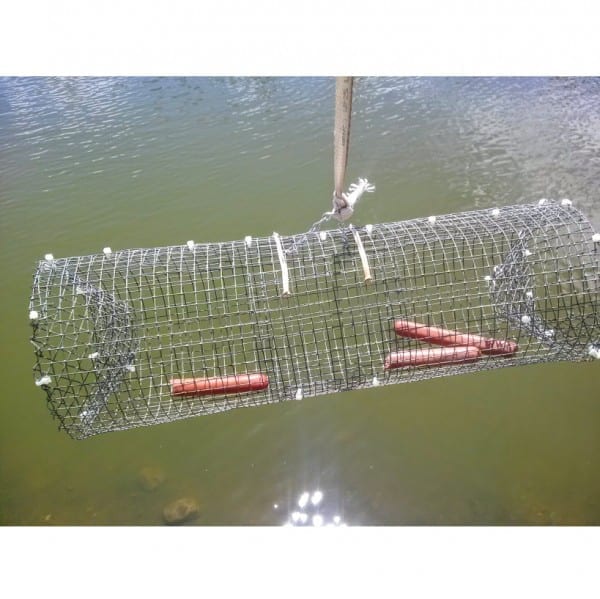 Diy Crawfish Crawdad Trap Fishing Summertime Camping