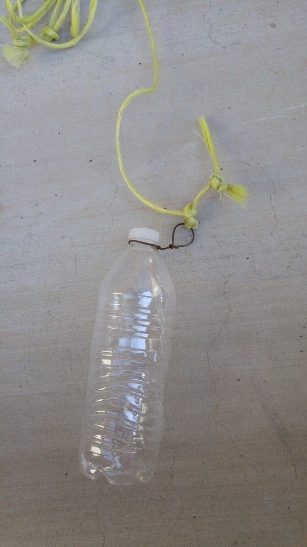 DIY Crawfish Trap TeeDiddlyDee