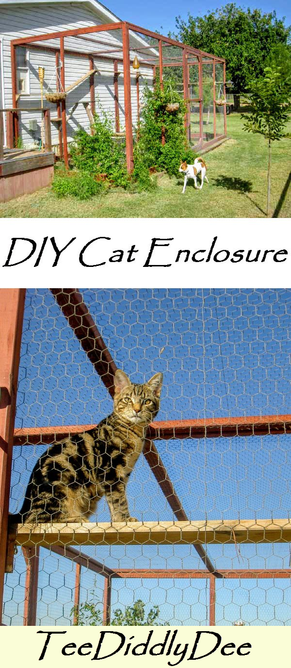 Homemade Outside Cat Enclosures Homemade Ftempo